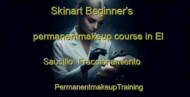 Skinart Beginner's permanentmakeup course in El Saucillo  Fraccionamiento | #PermanentmakeupTraining #PermanentmakeupClasses #SkinartTraining-Mexico