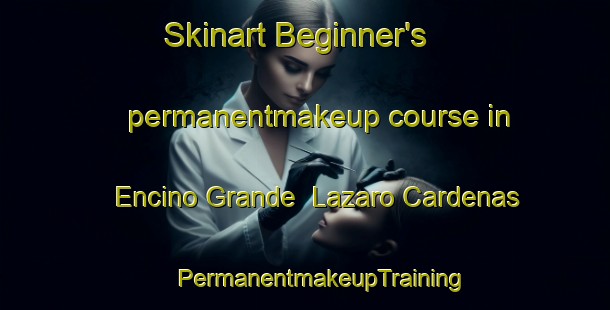 Skinart Beginner's permanentmakeup course in Encino Grande  Lazaro Cardenas | #PermanentmakeupTraining #PermanentmakeupClasses #SkinartTraining-Mexico