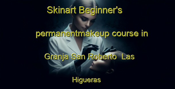 Skinart Beginner's permanentmakeup course in Granja San Roberto  Las Higueras | #PermanentmakeupTraining #PermanentmakeupClasses #SkinartTraining-Mexico