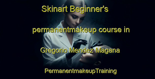 Skinart Beginner's permanentmakeup course in Gregorio Mendez Magana | #PermanentmakeupTraining #PermanentmakeupClasses #SkinartTraining-Mexico