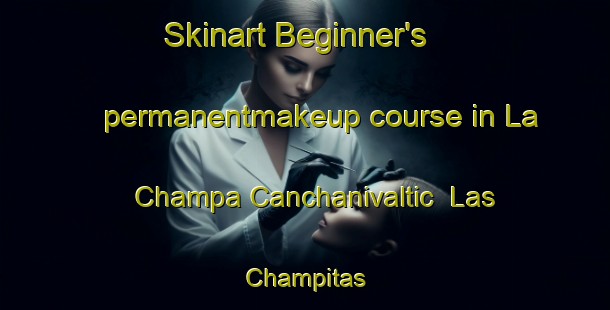 Skinart Beginner's permanentmakeup course in La Champa Canchanivaltic  Las Champitas | #PermanentmakeupTraining #PermanentmakeupClasses #SkinartTraining-Mexico