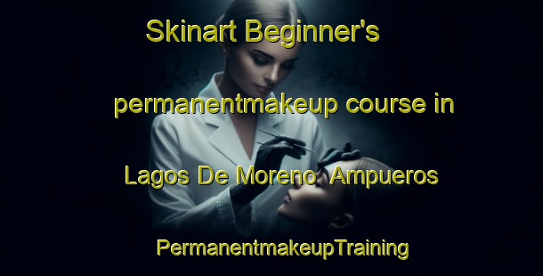 Skinart Beginner's permanentmakeup course in Lagos De Moreno  Ampueros | #PermanentmakeupTraining #PermanentmakeupClasses #SkinartTraining-Mexico