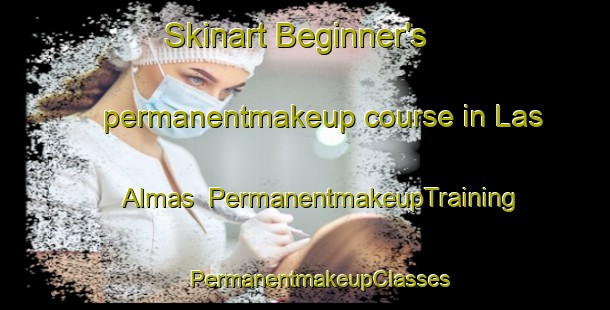 Skinart Beginner's permanentmakeup course in Las Almas | #PermanentmakeupTraining #PermanentmakeupClasses #SkinartTraining-Mexico