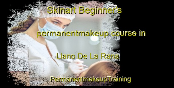 Skinart Beginner's permanentmakeup course in Llano De La Rana | #PermanentmakeupTraining #PermanentmakeupClasses #SkinartTraining-Mexico