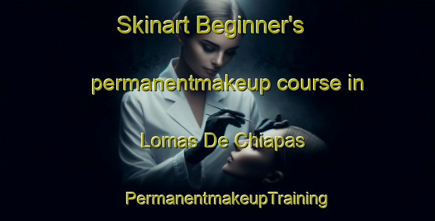 Skinart Beginner's permanentmakeup course in Lomas De Chiapas | #PermanentmakeupTraining #PermanentmakeupClasses #SkinartTraining-Mexico