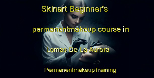 Skinart Beginner's permanentmakeup course in Lomas De La Aurora | #PermanentmakeupTraining #PermanentmakeupClasses #SkinartTraining-Mexico