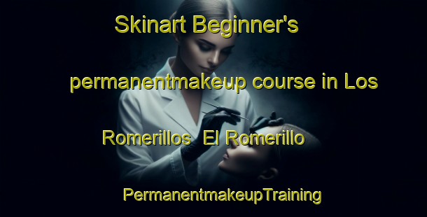 Skinart Beginner's permanentmakeup course in Los Romerillos  El Romerillo | #PermanentmakeupTraining #PermanentmakeupClasses #SkinartTraining-Mexico