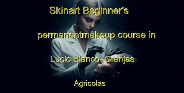 Skinart Beginner's permanentmakeup course in Lucio Blanco  Granjas Agricolas | #PermanentmakeupTraining #PermanentmakeupClasses #SkinartTraining-Mexico