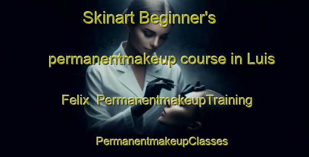 Skinart Beginner's permanentmakeup course in Luis Felix | #PermanentmakeupTraining #PermanentmakeupClasses #SkinartTraining-Mexico