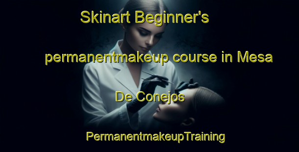 Skinart Beginner's permanentmakeup course in Mesa De Conejos | #PermanentmakeupTraining #PermanentmakeupClasses #SkinartTraining-Mexico