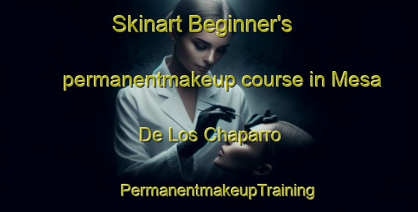 Skinart Beginner's permanentmakeup course in Mesa De Los Chaparro | #PermanentmakeupTraining #PermanentmakeupClasses #SkinartTraining-Mexico