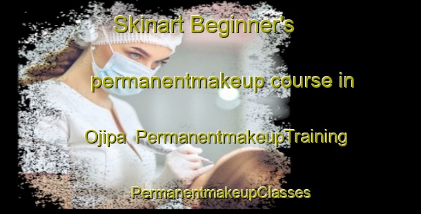 Skinart Beginner's permanentmakeup course in Ojipa | #PermanentmakeupTraining #PermanentmakeupClasses #SkinartTraining-Mexico