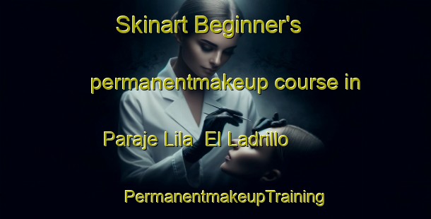 Skinart Beginner's permanentmakeup course in Paraje Lila  El Ladrillo | #PermanentmakeupTraining #PermanentmakeupClasses #SkinartTraining-Mexico