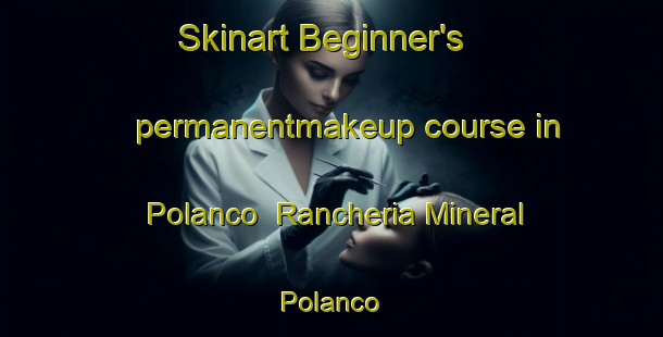 Skinart Beginner's permanentmakeup course in Polanco  Rancheria Mineral Polanco | #PermanentmakeupTraining #PermanentmakeupClasses #SkinartTraining-Mexico