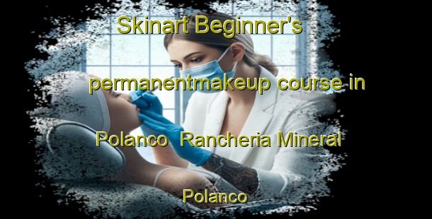 Skinart Beginner's permanentmakeup course in Polanco  Rancheria Mineral Polanco | #PermanentmakeupTraining #PermanentmakeupClasses #SkinartTraining-Mexico