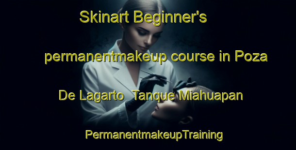 Skinart Beginner's permanentmakeup course in Poza De Lagarto  Tanque Miahuapan | #PermanentmakeupTraining #PermanentmakeupClasses #SkinartTraining-Mexico