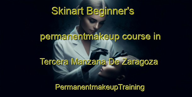 Skinart Beginner's permanentmakeup course in Tercera Manzana De Zaragoza | #PermanentmakeupTraining #PermanentmakeupClasses #SkinartTraining-Mexico