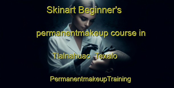 Skinart Beginner's permanentmakeup course in Tlalnahuac  Texalo | #PermanentmakeupTraining #PermanentmakeupClasses #SkinartTraining-Mexico