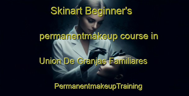 Skinart Beginner's permanentmakeup course in Union De Granjas Familiares | #PermanentmakeupTraining #PermanentmakeupClasses #SkinartTraining-Mexico