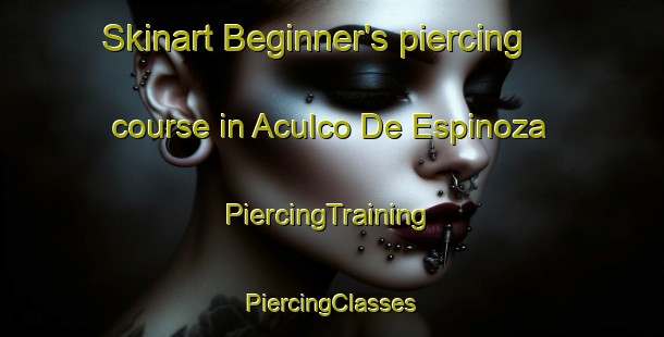 Skinart Beginner's piercing course in Aculco De Espinoza | #PiercingTraining #PiercingClasses #SkinartTraining-Mexico