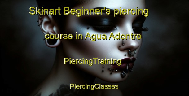 Skinart Beginner's piercing course in Agua Adentro | #PiercingTraining #PiercingClasses #SkinartTraining-Mexico