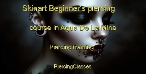 Skinart Beginner's piercing course in Agua De La Mina | #PiercingTraining #PiercingClasses #SkinartTraining-Mexico