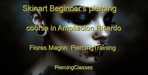 Skinart Beginner's piercing course in Ampliacion Ricardo Flores Magon | #PiercingTraining #PiercingClasses #SkinartTraining-Mexico