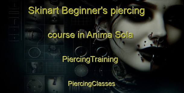 Skinart Beginner's piercing course in Anima Sola | #PiercingTraining #PiercingClasses #SkinartTraining-Mexico