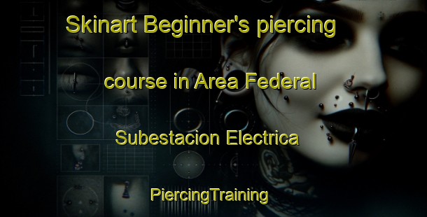 Skinart Beginner's piercing course in Area Federal Subestacion Electrica | #PiercingTraining #PiercingClasses #SkinartTraining-Mexico