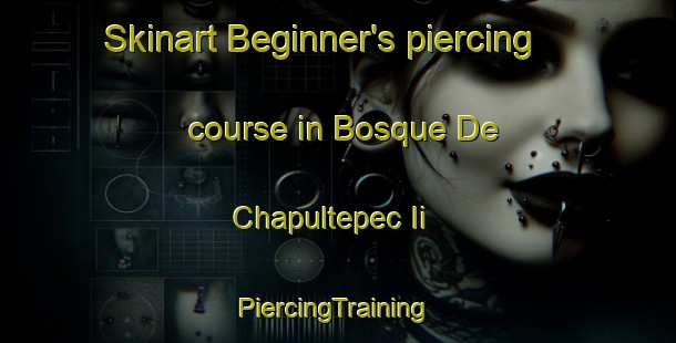 Skinart Beginner's piercing course in Bosque De Chapultepec Ii | #PiercingTraining #PiercingClasses #SkinartTraining-Mexico