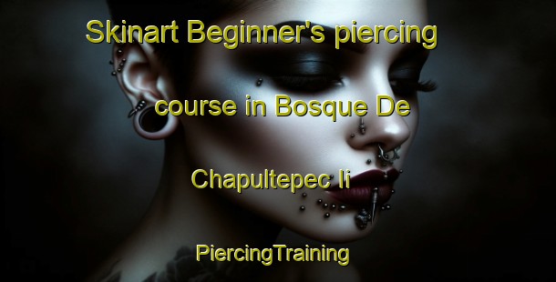 Skinart Beginner's piercing course in Bosque De Chapultepec Ii | #PiercingTraining #PiercingClasses #SkinartTraining-Mexico