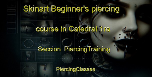 Skinart Beginner's piercing course in Catedral 1ra  Seccion | #PiercingTraining #PiercingClasses #SkinartTraining-Mexico