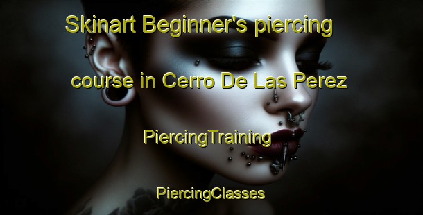 Skinart Beginner's piercing course in Cerro De Las Perez | #PiercingTraining #PiercingClasses #SkinartTraining-Mexico