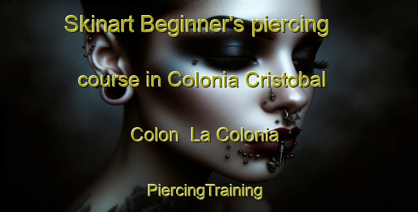 Skinart Beginner's piercing course in Colonia Cristobal Colon  La Colonia | #PiercingTraining #PiercingClasses #SkinartTraining-Mexico