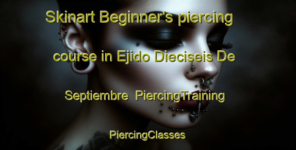 Skinart Beginner's piercing course in Ejido Dieciseis De Septiembre | #PiercingTraining #PiercingClasses #SkinartTraining-Mexico