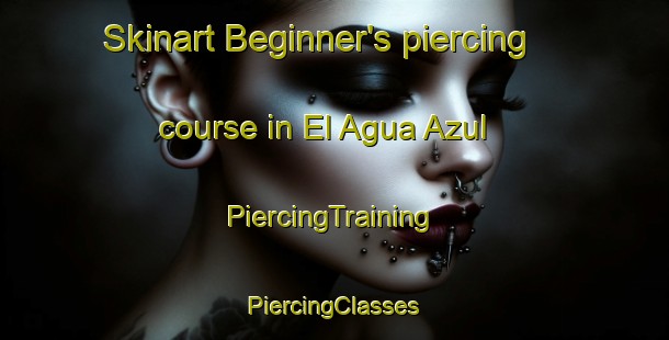 Skinart Beginner's piercing course in El Agua Azul | #PiercingTraining #PiercingClasses #SkinartTraining-Mexico