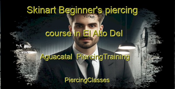 Skinart Beginner's piercing course in El Alto Del Aguacatal | #PiercingTraining #PiercingClasses #SkinartTraining-Mexico