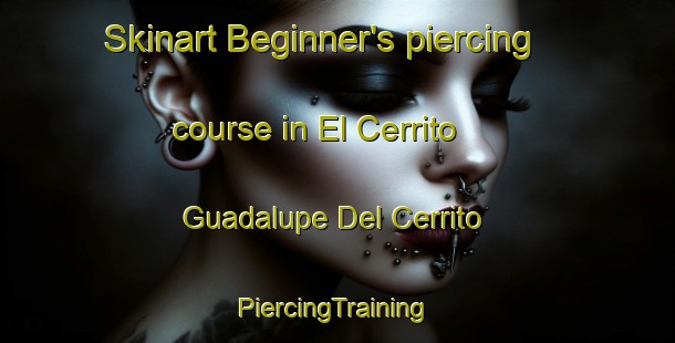 Skinart Beginner's piercing course in El Cerrito  Guadalupe Del Cerrito | #PiercingTraining #PiercingClasses #SkinartTraining-Mexico