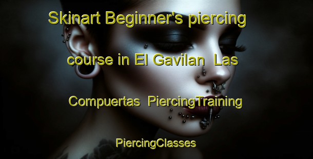 Skinart Beginner's piercing course in El Gavilan  Las Compuertas | #PiercingTraining #PiercingClasses #SkinartTraining-Mexico