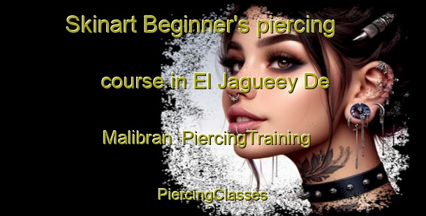 Skinart Beginner's piercing course in El Jagueey De Malibran | #PiercingTraining #PiercingClasses #SkinartTraining-Mexico