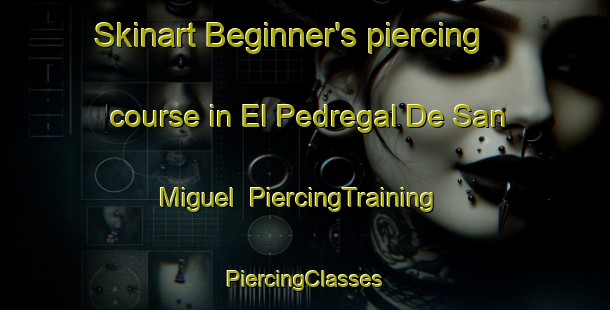 Skinart Beginner's piercing course in El Pedregal De San Miguel | #PiercingTraining #PiercingClasses #SkinartTraining-Mexico