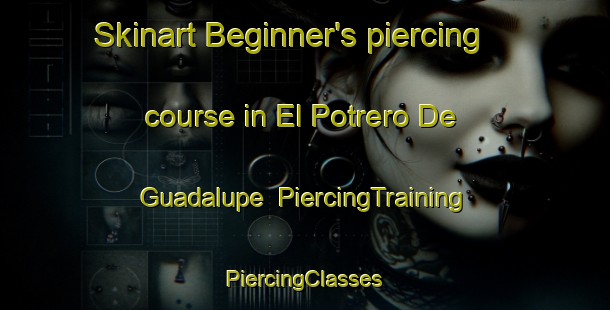 Skinart Beginner's piercing course in El Potrero De Guadalupe | #PiercingTraining #PiercingClasses #SkinartTraining-Mexico