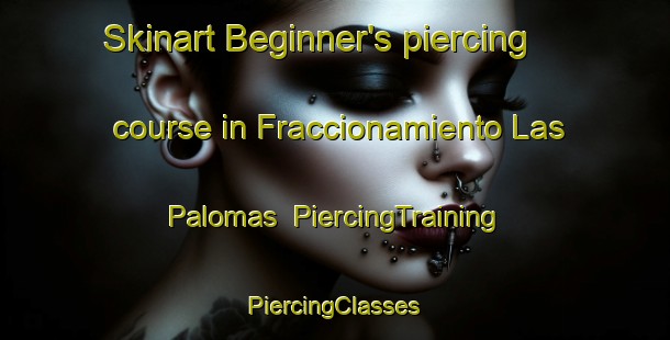 Skinart Beginner's piercing course in Fraccionamiento Las Palomas | #PiercingTraining #PiercingClasses #SkinartTraining-Mexico