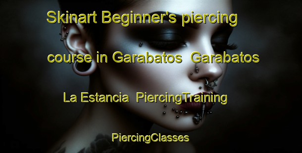 Skinart Beginner's piercing course in Garabatos  Garabatos La Estancia | #PiercingTraining #PiercingClasses #SkinartTraining-Mexico