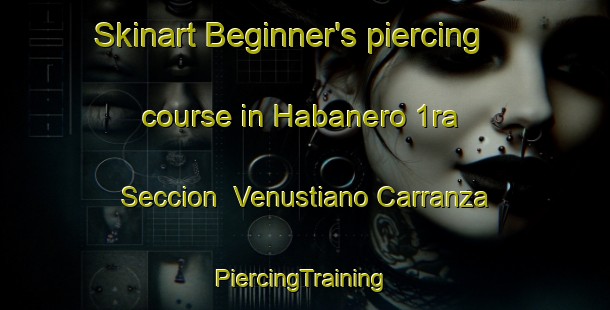 Skinart Beginner's piercing course in Habanero 1ra  Seccion  Venustiano Carranza | #PiercingTraining #PiercingClasses #SkinartTraining-Mexico