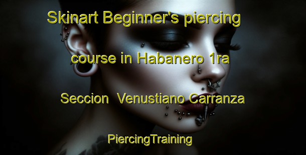 Skinart Beginner's piercing course in Habanero 1ra  Seccion  Venustiano Carranza | #PiercingTraining #PiercingClasses #SkinartTraining-Mexico