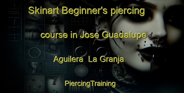 Skinart Beginner's piercing course in Jose Guadalupe Aguilera  La Granja | #PiercingTraining #PiercingClasses #SkinartTraining-Mexico