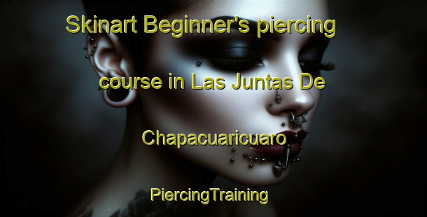 Skinart Beginner's piercing course in Las Juntas De Chapacuaricuaro | #PiercingTraining #PiercingClasses #SkinartTraining-Mexico