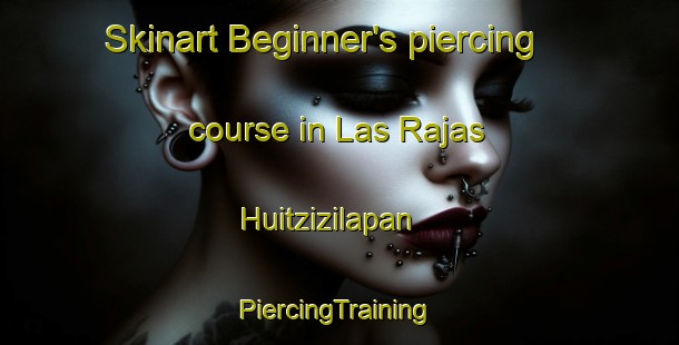 Skinart Beginner's piercing course in Las Rajas Huitzizilapan | #PiercingTraining #PiercingClasses #SkinartTraining-Mexico