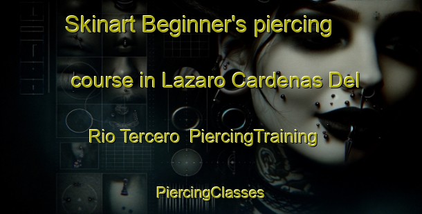 Skinart Beginner's piercing course in Lazaro Cardenas Del Rio Tercero | #PiercingTraining #PiercingClasses #SkinartTraining-Mexico